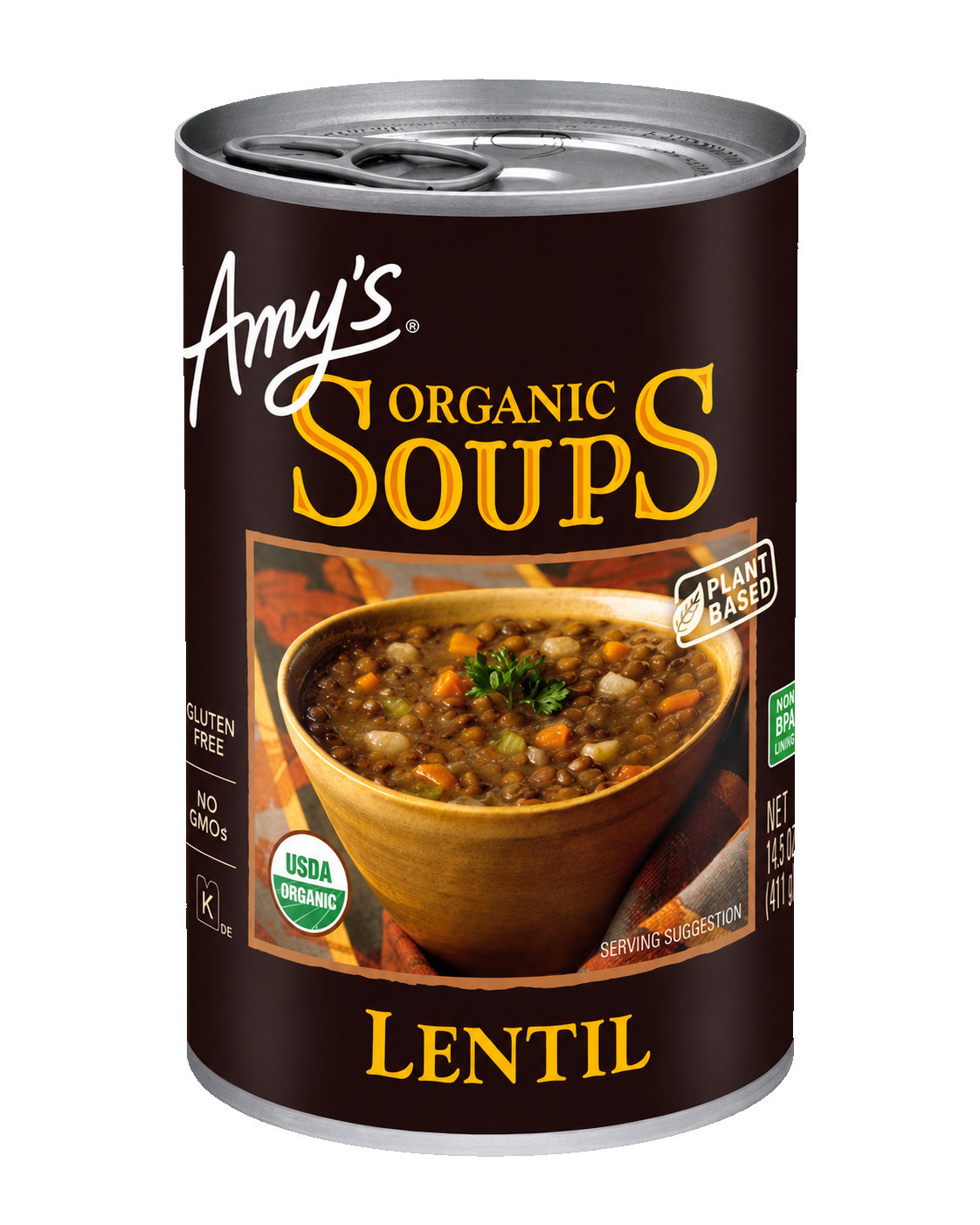 Organic Lentil Soup