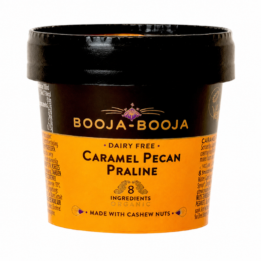 Caramel Pecan Praline Organic Dairy-Free Ice Cream
